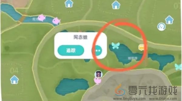 心动小镇手游网翅蝗在什么位置 心动小镇手游网翅蝗地点分享图1