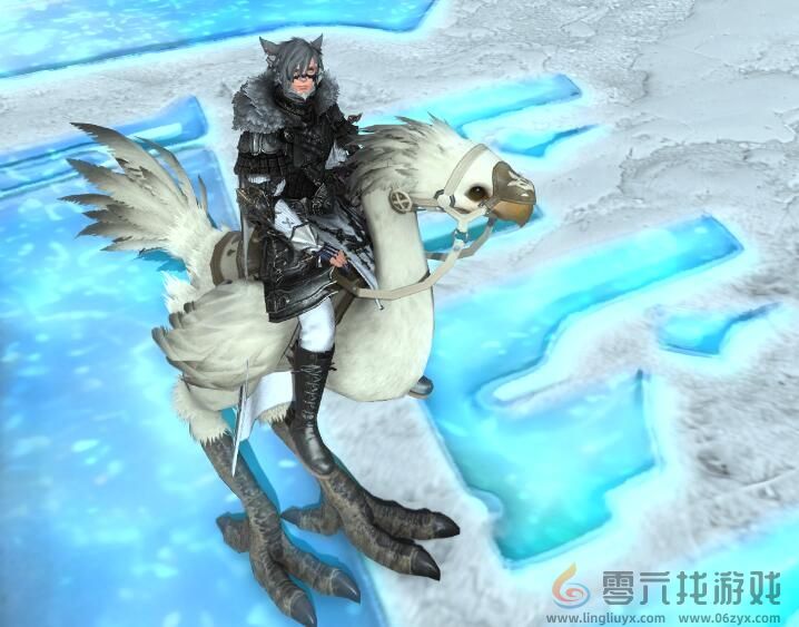 ff14专属陆行鸟获得方法图3